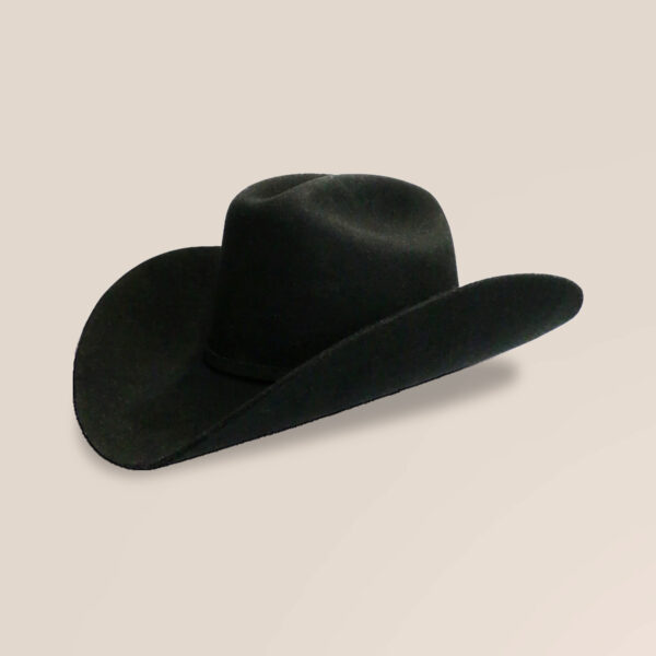 Western Wear Hat